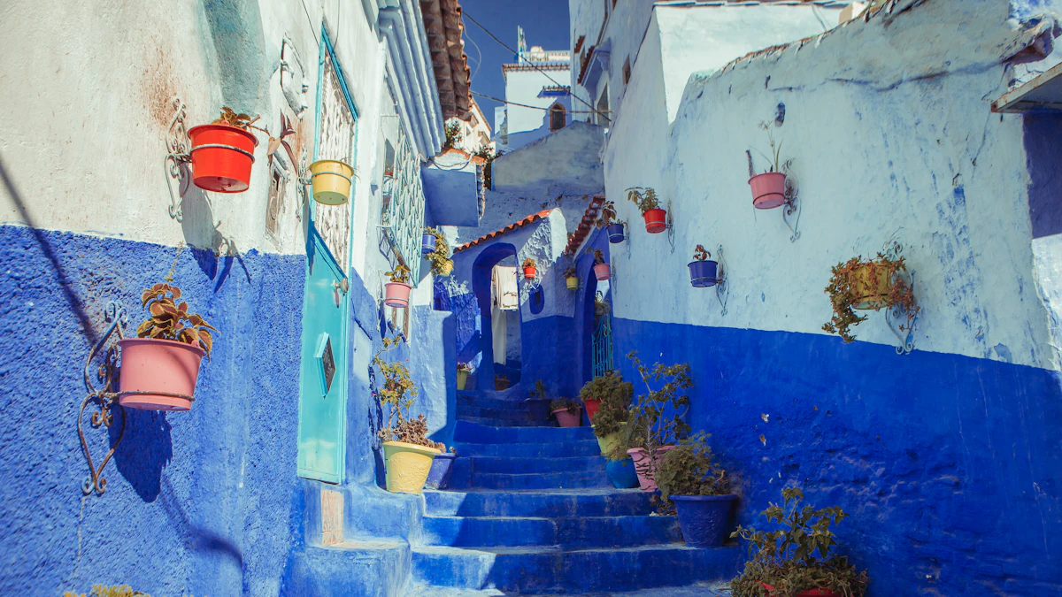 How to Choose the Best Marrakech Tour Company