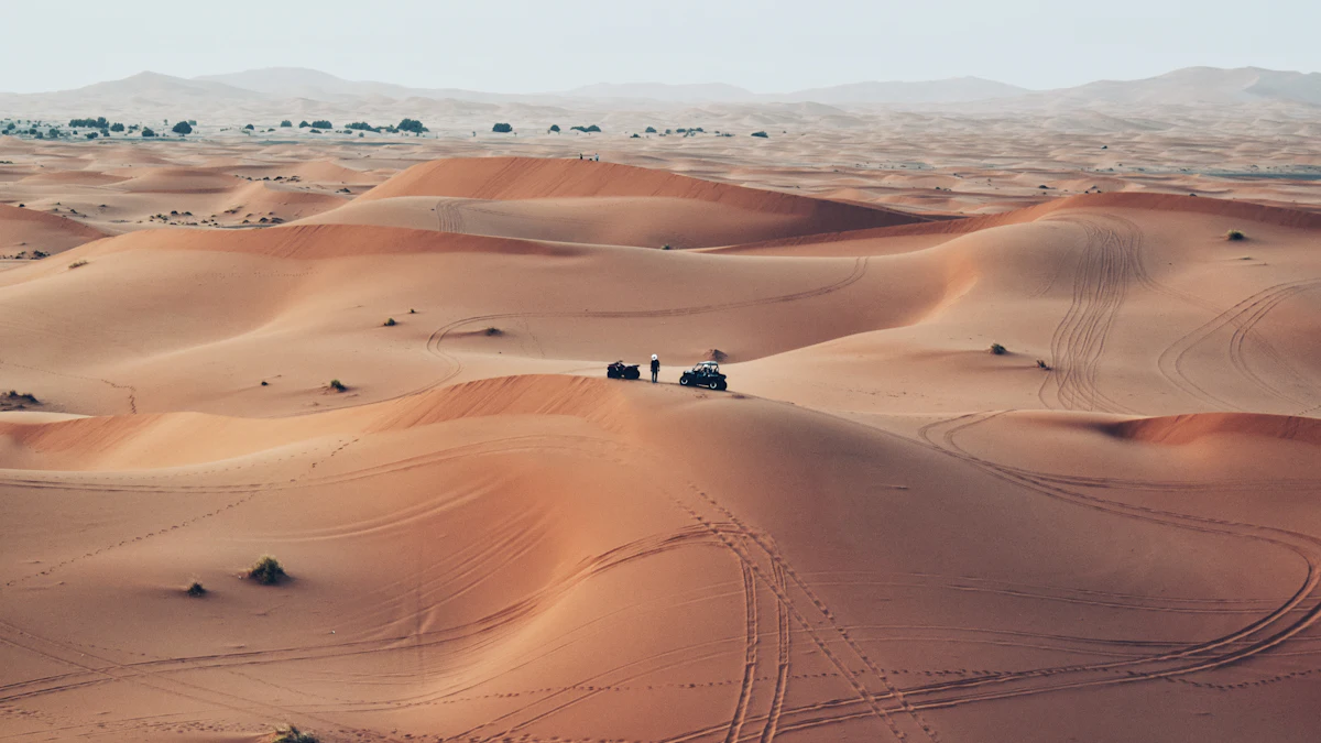 Private vs Shared Tours from Marrakech: Which Is Better?
