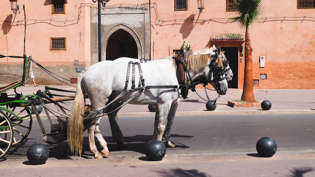 Meilleures excursions dans l’Ourika pour les familles