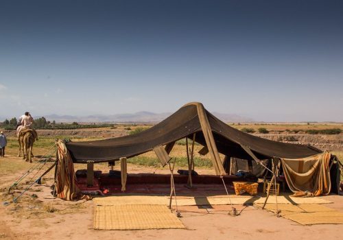 camel trekking marrakech